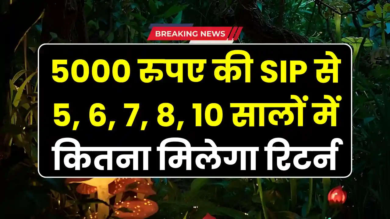 SIP Investment